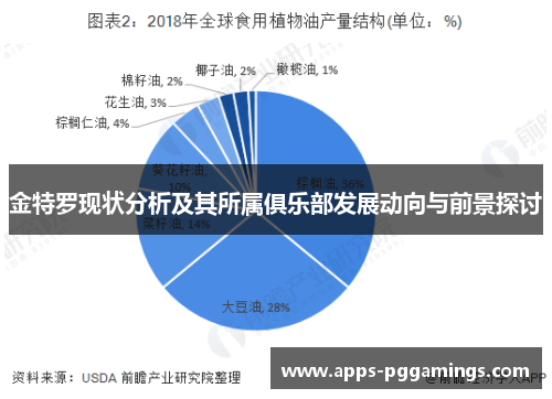 金特罗现状分析及其所属俱乐部发展动向与前景探讨